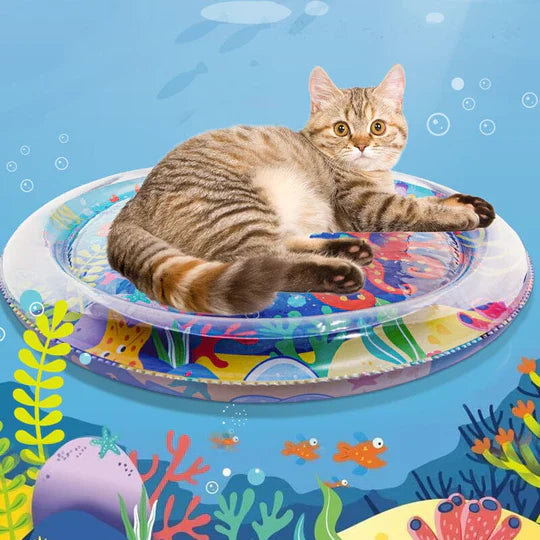 Water Mat For Babies & Pets