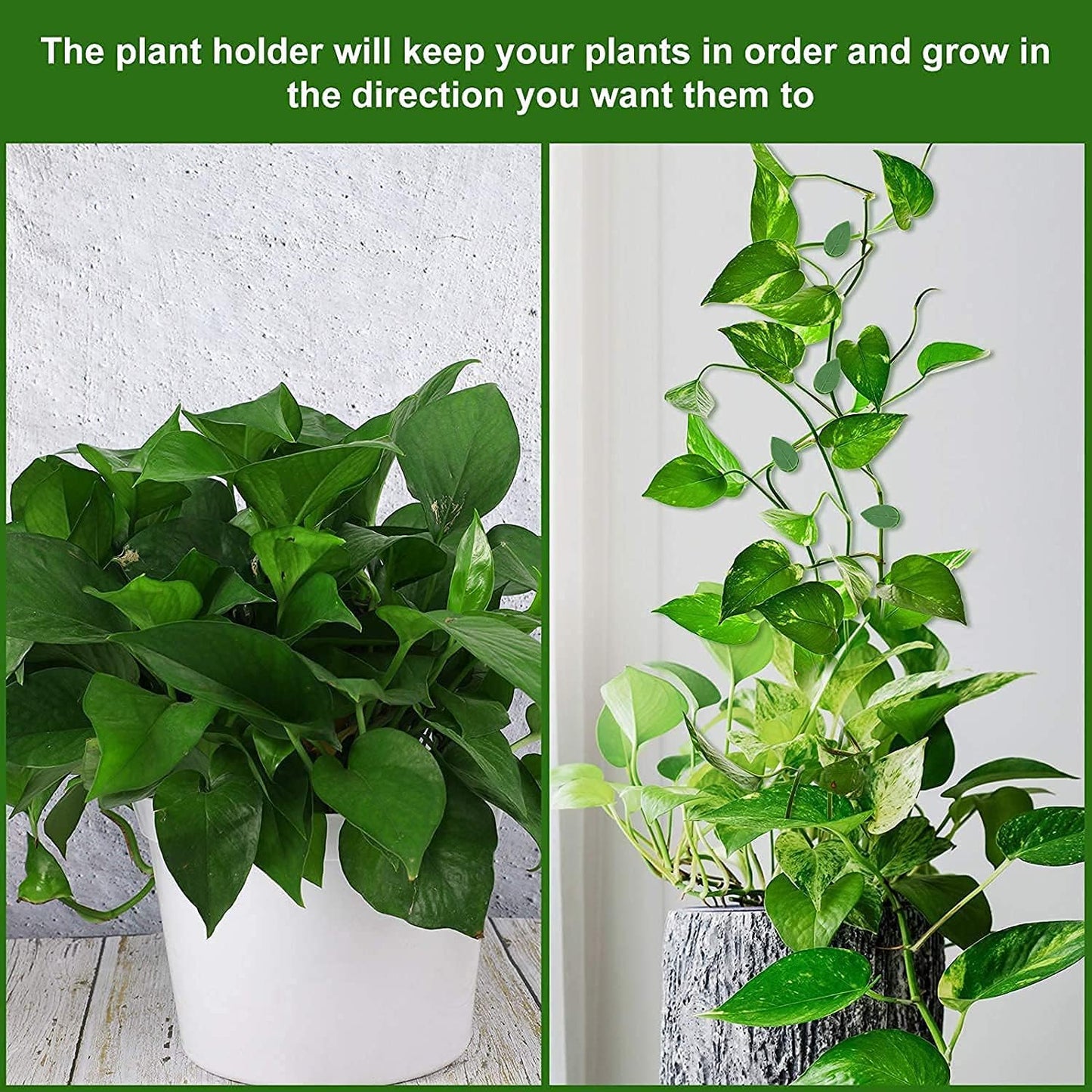 Leaf Shape Wall Plant Support Hook